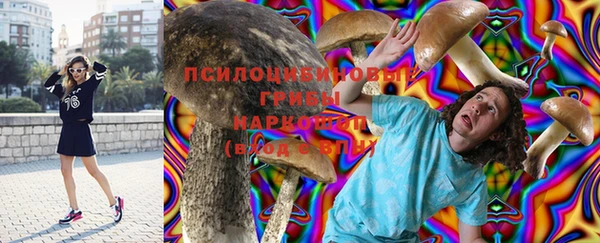 хмурый Алексеевка