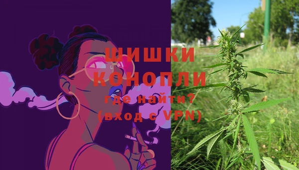 гидра Тавда