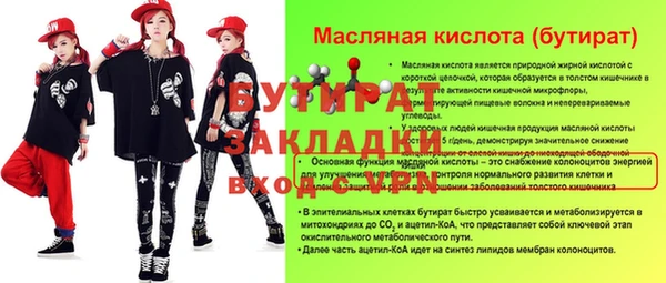 шишки Тайга
