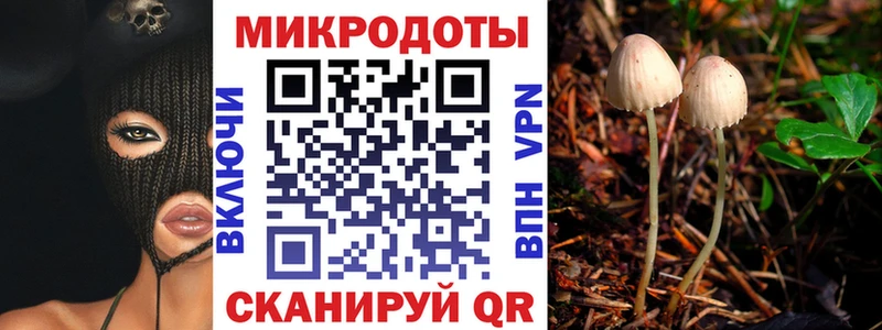 Псилоцибиновые грибы ЛСД Сыктывкар